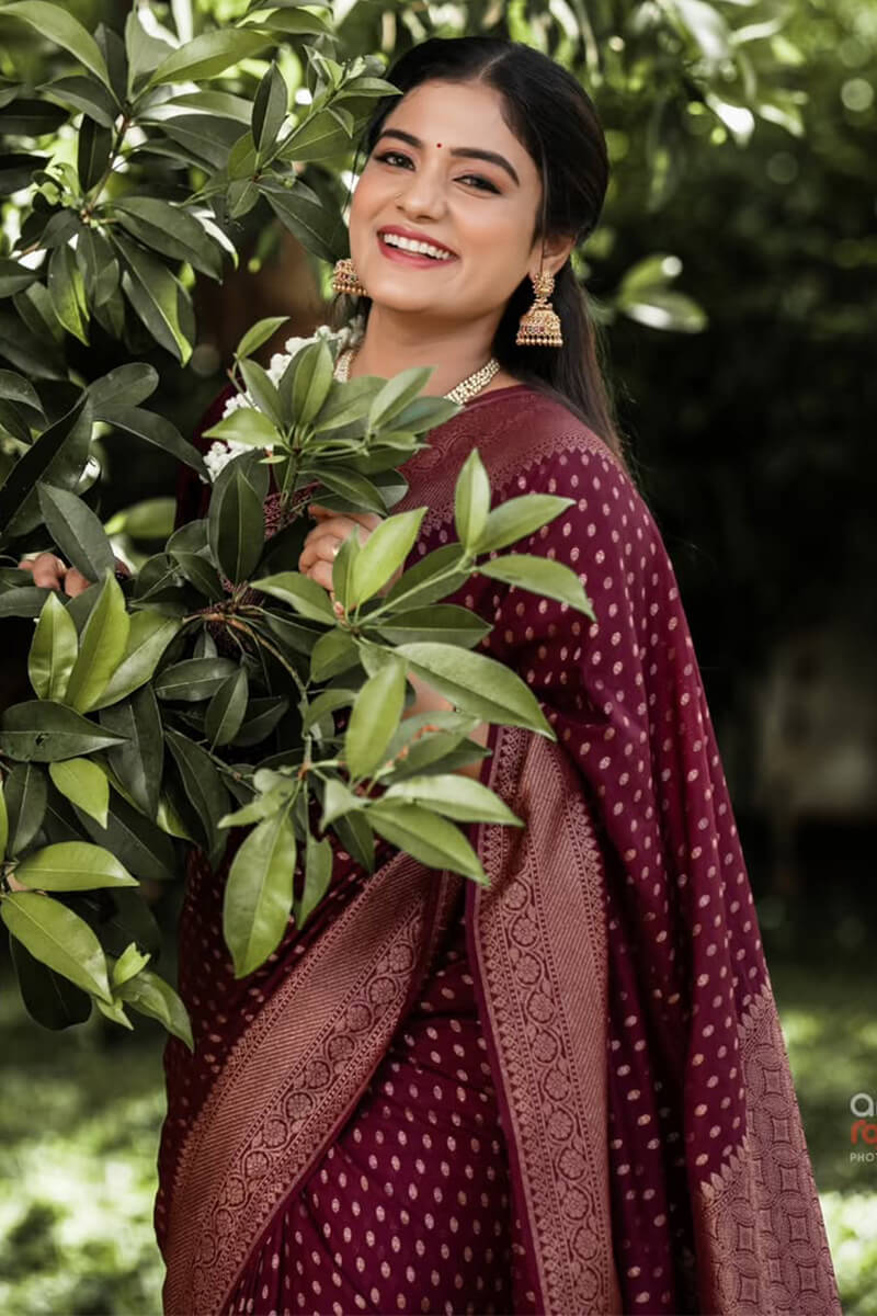 Adorable Wine Soft Silk Saree With Gratifying Blouse Piece - Image 3