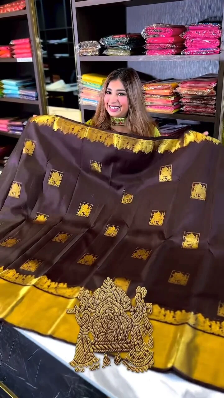 Artistic Brown Soft Banarasi Silk Saree With Snappy Blouse Piece - Image 2
