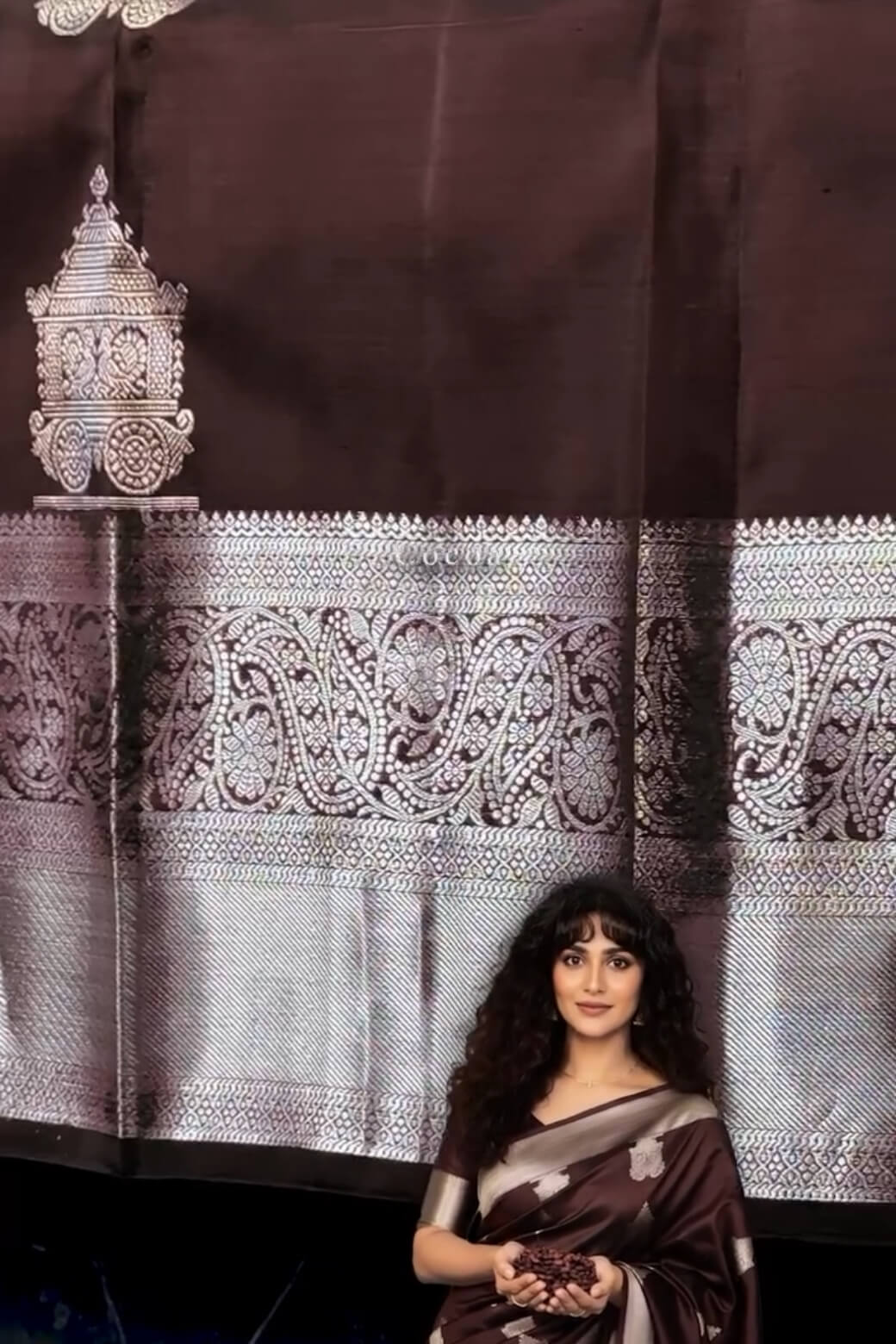 Bucolic Brown Soft Banarasi Silk Saree With Posh Blouse Piece - Image 4