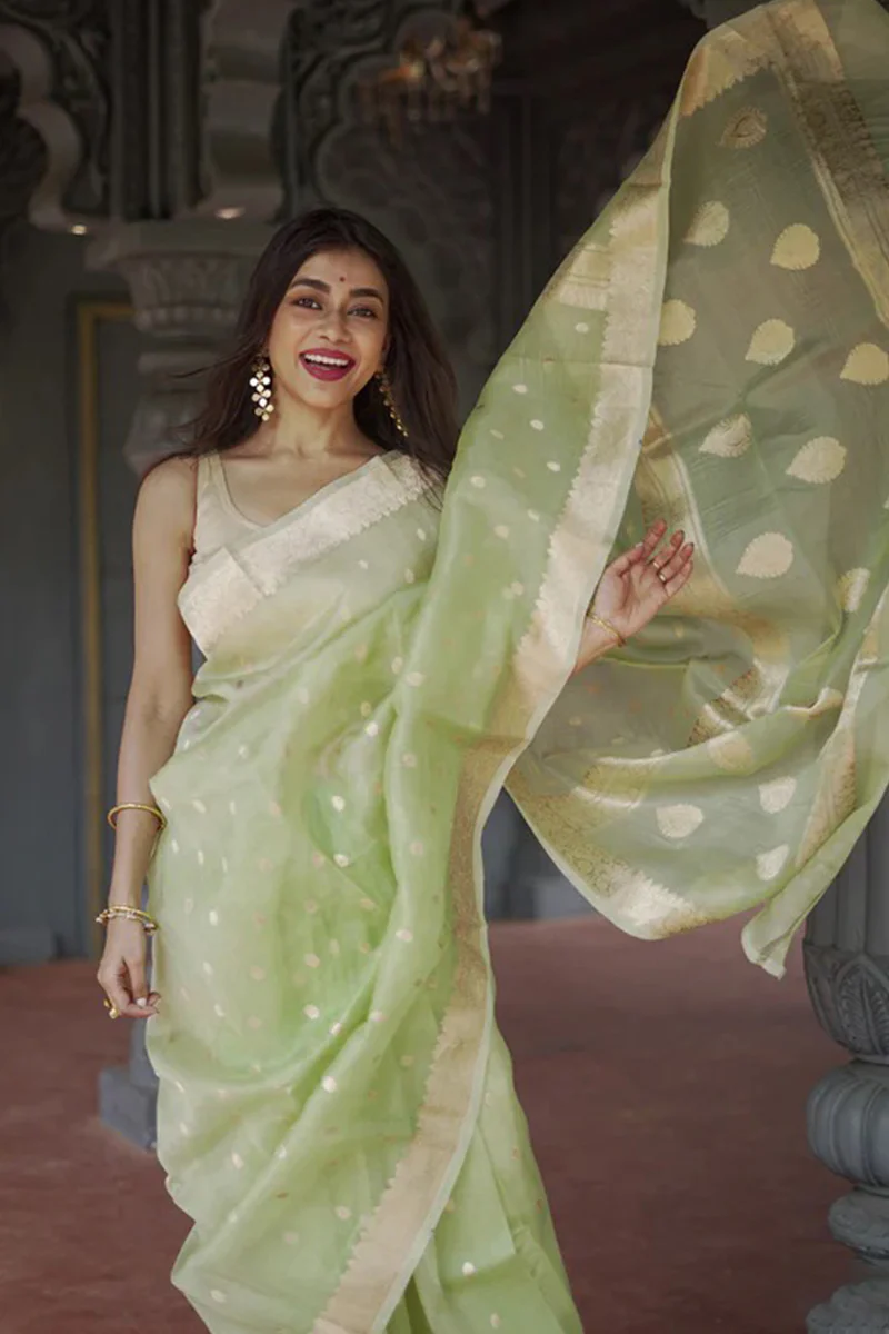 Delightful Pista Linen Silk Saree With Fairytale Blouse Piece - Image 4