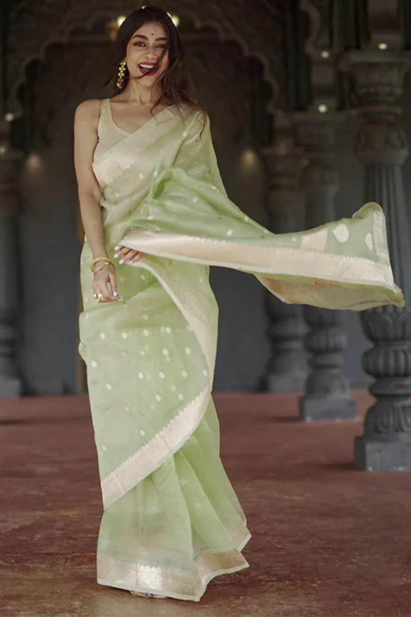 Delightful Pista Linen Silk Saree With Fairytale Blouse Piece - Image 5