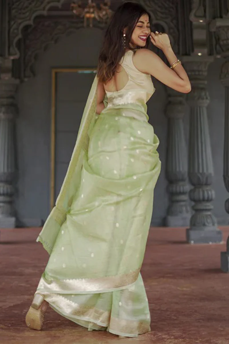 Delightful Pista Linen Silk Saree With Fairytale Blouse Piece - Image 7