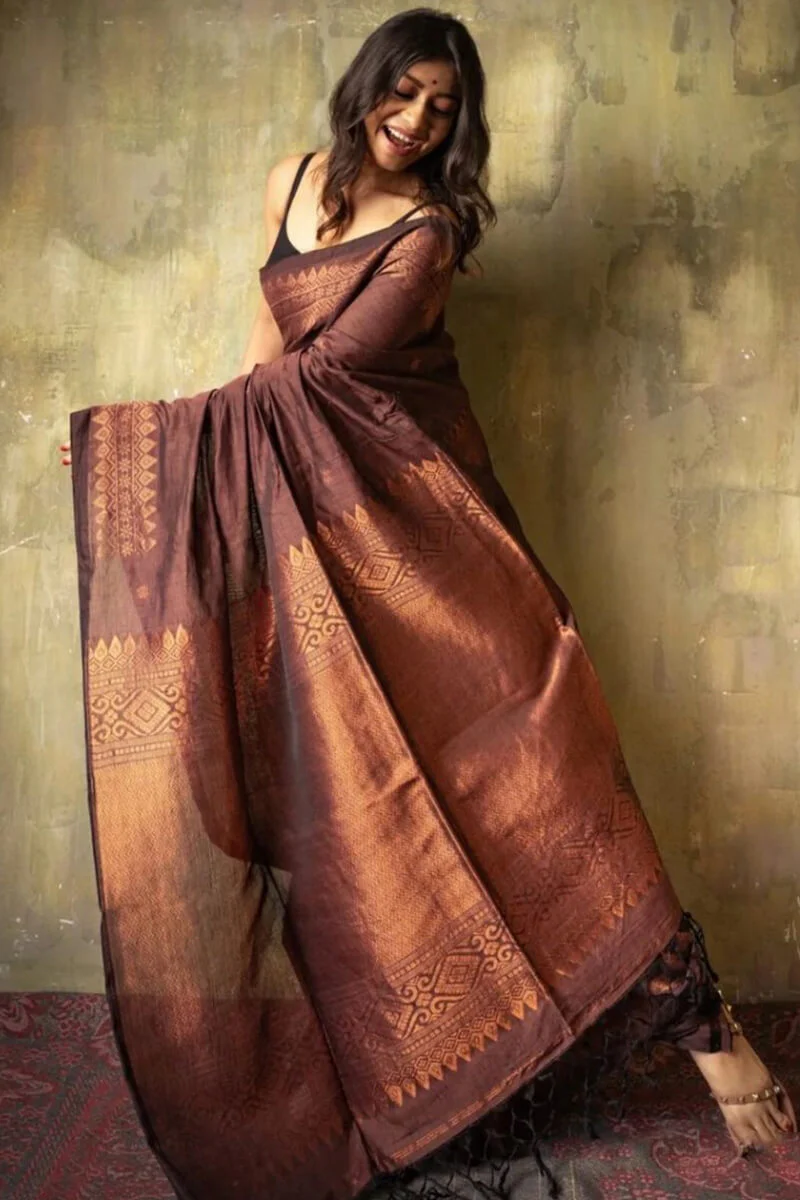 Extraordinary Brown Soft Silk Saree With Intricate Blouse Piece - Image 6