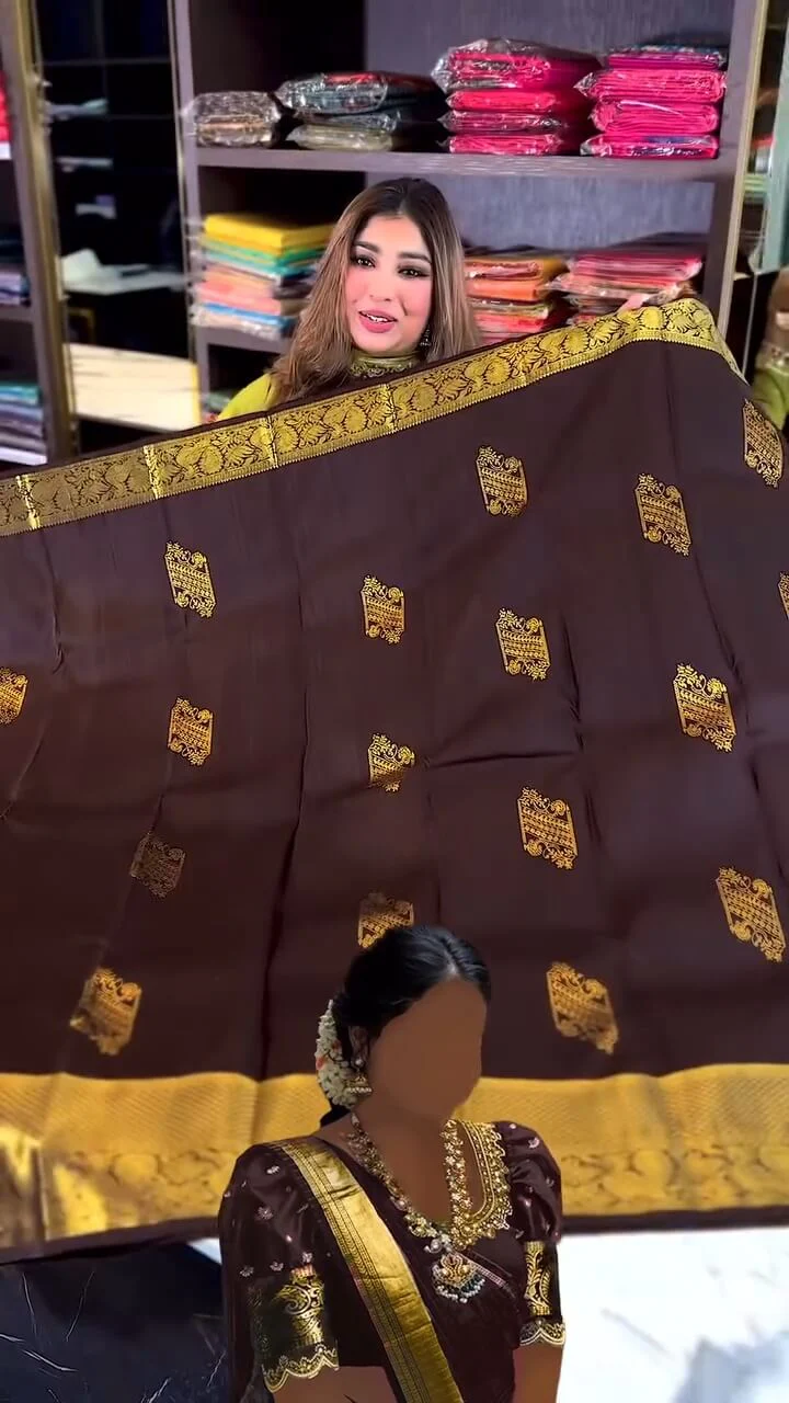 Woebegone Brown Soft Banarasi Silk Saree With Angelic Blouse Piece - Image 2