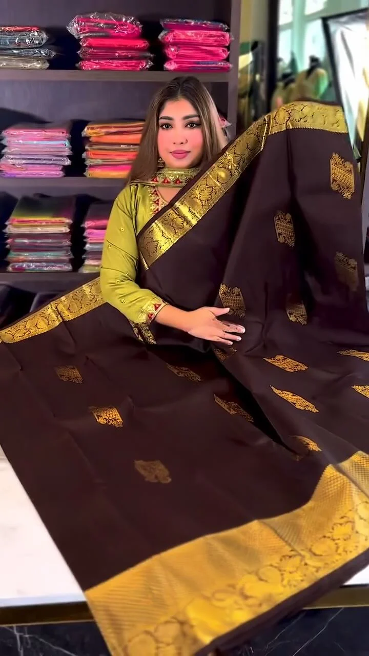 Woebegone Brown Soft Banarasi Silk Saree With Angelic Blouse Piece - Image 4
