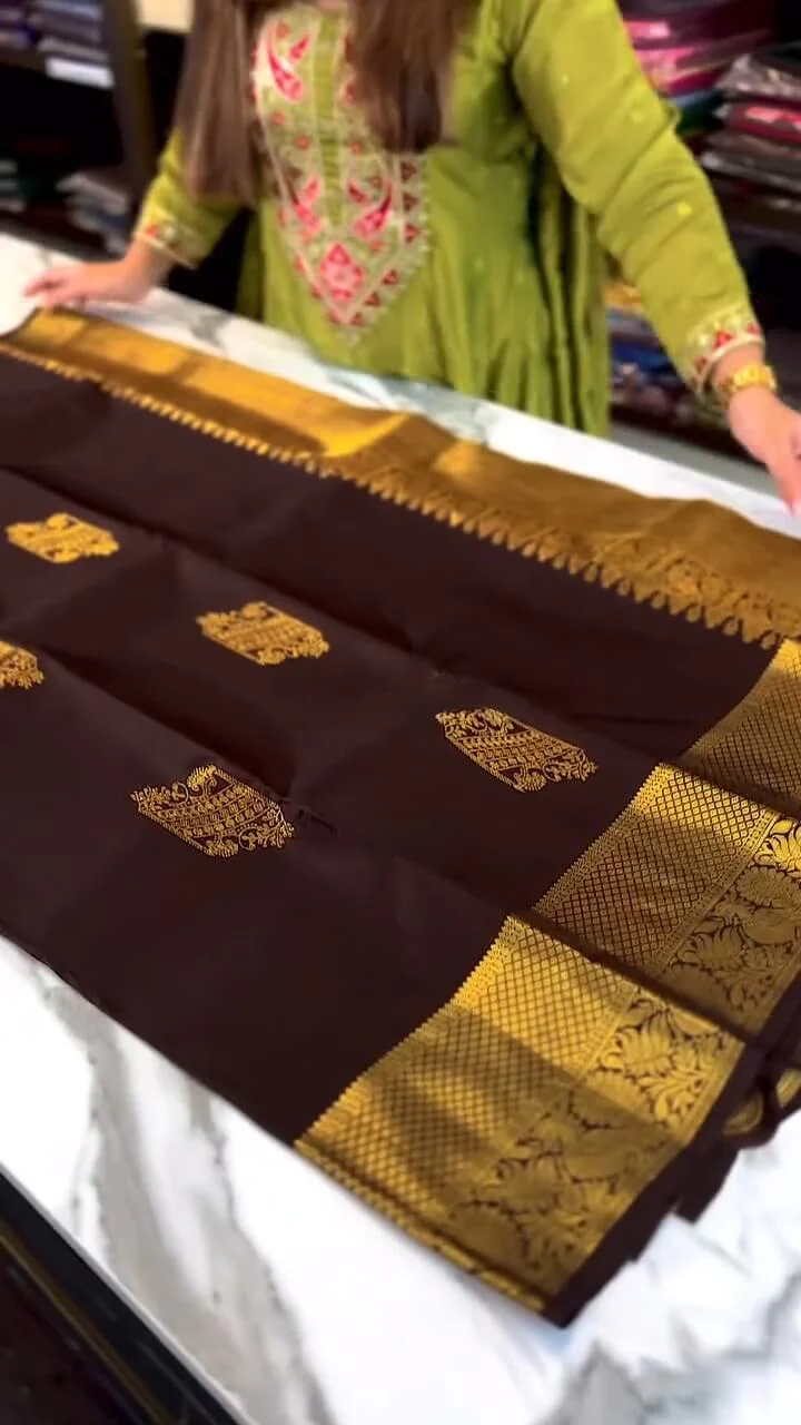 Woebegone Brown Soft Banarasi Silk Saree With Angelic Blouse Piece - Image 5